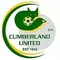 Cumberland United logo