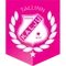 Nomme Kalju II logo
