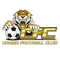 Cooma Tigers FC logo