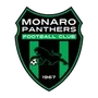Monaro Panthers