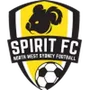 NWS Spirit