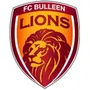 Bulleen Lions