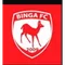 Binga logo