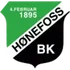 Honefoss W