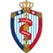 Nantong Haimen Codion logo