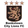 Bankstown City Lions