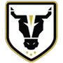 Bulls Academy