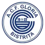 Gloria Bistrita