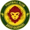 Guizhou Zhucheng logo