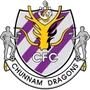 Jeonnam Dragons