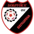 Belshina