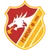Nasaf logo