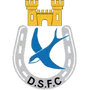 Dungannon S