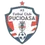FC Pucioasa