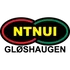 NTNUI