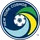NY Cosmos