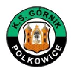 Gornik Polkowice logo