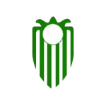 Paranaense U20 البرازيل
