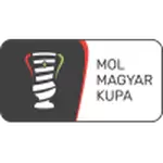 Magyar Kupa ハンガリー