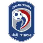 Paraguay - Division Profesional - Apertura