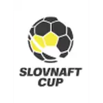 Cup Slovakia