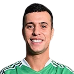 Fawzi El Henawi
