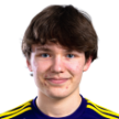 V. Maijanen