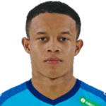Pedro Henrique